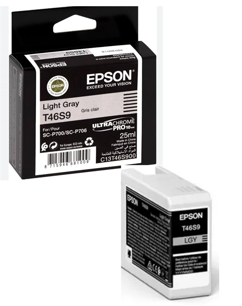 Epson T46S9 Light Grey